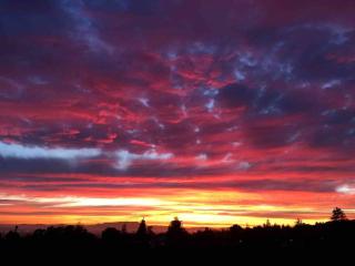 BridgesView Spa & Couples Retreat, Parking for 2 - Oakland - 3