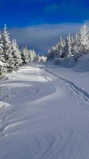 Szczyrkowskie Ski & Fun Widokowy 5 - Szczyrk - 6