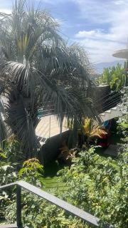 Jardín Secreto de Tabaiba - Tabaiba - 7