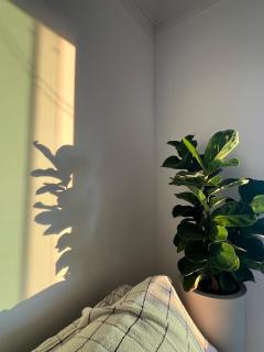 Apartamento coração de Atlântida - Xangri-lá - 3
