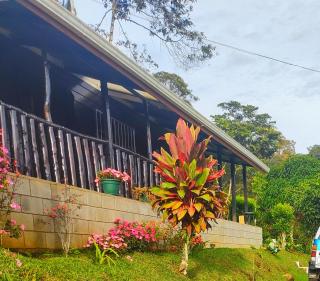 Toucan Mountain Rest - - 9