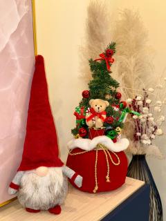 Appartement neuf haut standing - jacuzzi à Strasbourg - 4