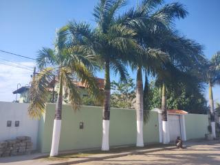 Casa Palmeira Imperial - 3