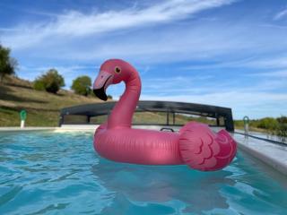 Grand gîte près du Mans avec piscine, cheminée et animaux - FR-1-410-217 - Chemiré-le-Gaudin - 2