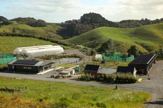 Kauri Ora Farmstay - Puhoi - 0
