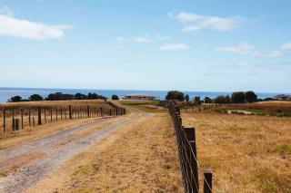 Wharekapua Beach House - 9