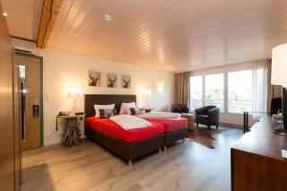 Hotel Landhaus Säntis Herisau - Herisau - 9