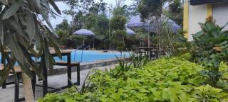 Embun Pagi Alami - Samboja - 3