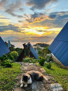 อุกฤษฟาร์มฮิลล์ ภูชี้ฟ้า Ukrist farm hill - 4