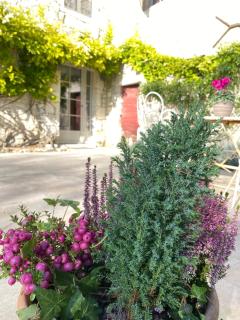 Luxury Gîte - L'Ancien Chai - 7