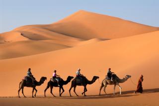 Auberge Chez Julia - Merzouga - 0