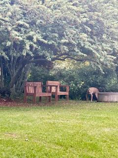 Glen Eden Lodge - Lidgetton - 8