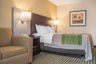 Comfort Inn - Chatham - 1