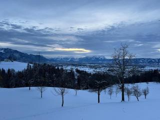 Chalet Vinzenz, Bildstein- mit privatem Ski- und Fahrradraum - Bildstein - 8