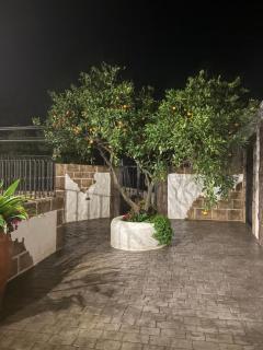 Villa jiguera - Cádiz - 4