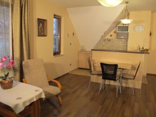 Apartament Wika - Pod Aniołem - Kazimierz Dolny - 3