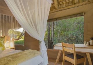 Bateleur Safari Camp - Timbavati Game Reserve - 1