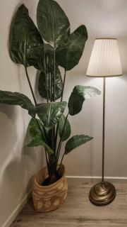 Wishart 1Bed 1Bath Tiny, Quiet House w Parking M15 - Brisbane - 7