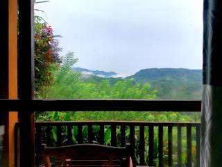 Rainforest Nature House - 1