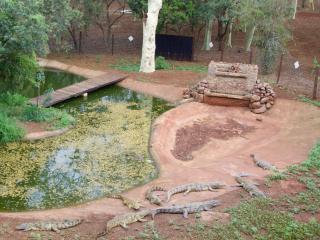 Ubizane Zululand Tree Lodge - Hluhluwe - 3