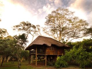 Ubizane Zululand Tree Lodge - Hluhluwe - 9