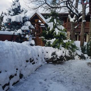 Villa Garden Hotel - 7