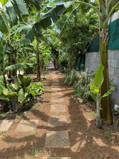 La Bananeraie Apt 35m2 piscine jardin tropical parking privé - Saint-Leu - 8