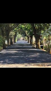 A Beautiful 1 BHK with Balcony - 3