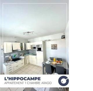 L'Hippocampe - Appartement 1 chambre au coeur du quartier Arago - Les Sables-dʼOlonne - 2