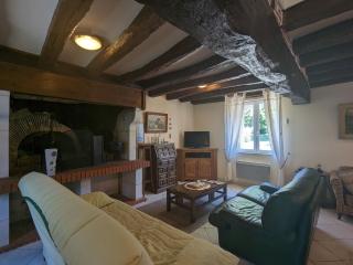 Gîte paisible près de Valençay et Zoo de Beauval - FR-1-591-624 - Val-Fouzon - 8