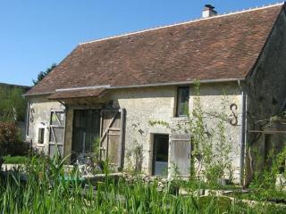 Grange éco-rénovée au cœur de la nature - FR-1-591-633 - Pouligny-Saint-Pierre - 8