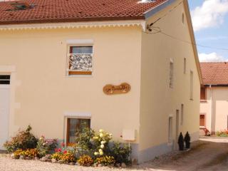 Gîte confortable près de Gérardmer avec terrasse et accueil chaleureux - FR-1-589-676 - 9