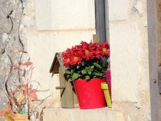 Grange éco-rénovée au cœur de la nature - FR-1-591-633 - 1