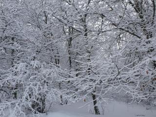 Appartement lumineux 3 chambres, terrasse, proche commerces et ski, avec WiFi - FR-1-589-677 - 7