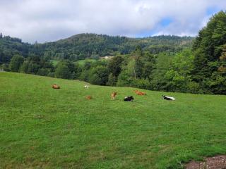 Appartement lumineux 3 chambres, terrasse, proche commerces et ski, avec WiFi - FR-1-589-677 - 3