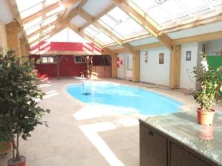 Séjour en Berry avec piscine intérieure chauffée - FR-1-591-632 - Niherne - 9