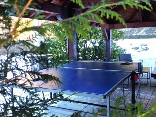 Chalet familial Vosges avec baby-foot et animaux admis - FR-1-589-688 - Ventron - 9