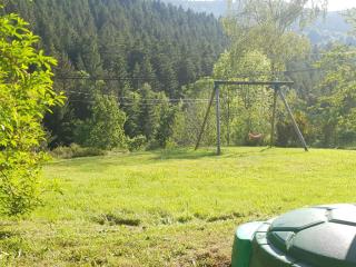 Chalet familial Vosges avec baby-foot et animaux admis - FR-1-589-688 - Ventron - 4