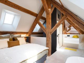 Loft moderne au charme ancien, climatisé, près de la Place Stanislas - FR-1-584-352 - Nancy - 6