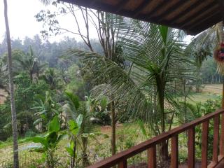 Cabin D Bendul and Warung - 1