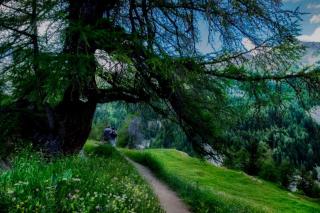 Paradis St Véran - 5