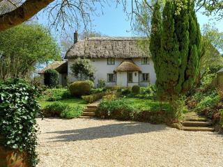 Church Cottage - Bridport - 0