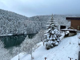 Klinger na dlani - LAKE VIEW - 7