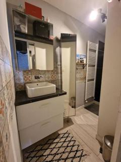 Appartement bord de Garonne avec Parking - Toulouse - 3