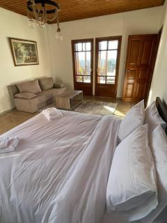 Villa Hill - Tríkala - 3