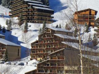 Auris en Oisans: Appart 4 pers, 250m pistes, balcon, parking gratuit, animaux admis - FR-1-297-339 - Auris - 3
