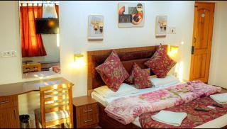 Hotel Sultan Residency - Srinagar - 9
