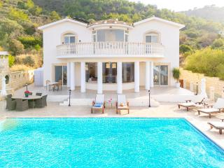 Villa Aquavitus - Pachyammos - 7