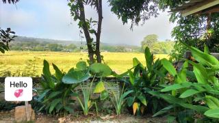 Bumnum Homestay - - 1