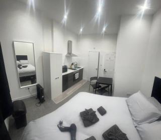 Central London Kings Cross Flat - Londra - 0